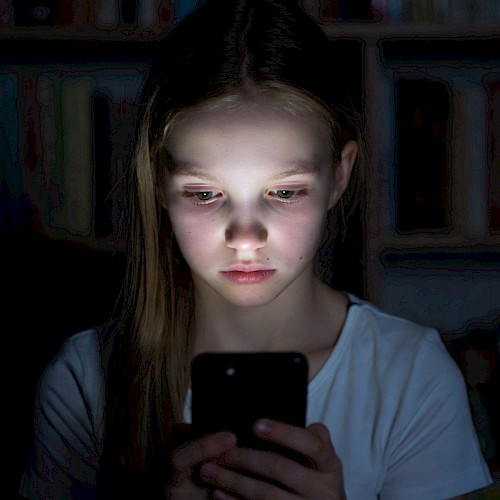 Koliko su naša djeca sigurna online?
